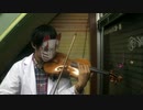 【ヴァイオリンで】花瓶に触れた【弾いてみた】