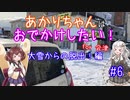 【軽車載】大雪からの脱出！ for 会津【#6 あかりちゃんはおでかけしたい！】