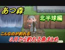 あつまれどうぶつの森　３月から釣れる魚まとめ！釣れる場所と時間帯も紹介！北半球編！　【あつ森】