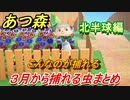 あつまれどうぶつの森　３月から捕れる虫まとめ！捕れる場所と時間帯も紹介！北半球編！　【あつ森】