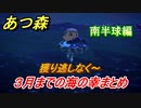 あつまれどうぶつの森　３月までの海の幸まとめ！（南半球編）海の幸図鑑コンプするために！　【あつ森】