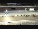 2021年2月21日高知競馬7R A-2組 ミサイルマン
