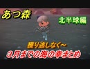 あつまれどうぶつの森　３月までの海の幸まとめ！（北半球編）　海の幸図鑑コンプするために　【あつ森】