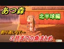 あつまれどうぶつの森　３月までの魚まとめ！場所と時間帯も紹介（北半球編）魚図鑑コンプのために【あつ森】