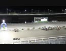 2021年2月21日高知競馬9R 鋸屋孝信協賛 笠原大吾誕生祝い特別(C2-2組) イチネンセイ