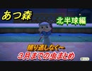 あつまれどうぶつの森　３月までの虫まとめ！場所と時間帯も紹介！（北半球編）【あつ森】
