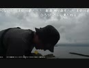 【後援会アーカイブ】渚でクロダイ釣り！超浅瀬でクロダイ連発