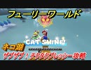 【マリオ3Dワールド+フューリーワールド】ネコ湖で取れるネコシャインの場所　ザブザブ！チクタクプレッシー攻略