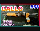 デザインがめっちゃイイGALLO｜RPD & GALLO SA12【CoD:BOCW実況】part38
