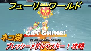 【マリオ3Dワールド+フューリーワールド】ネコ湖のネコシャインの取り方　プレッシーメダルマスター！攻略　ネコシャインコンプへの道