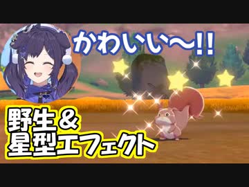 色違いホシガリスを捕まえる相羽ういは