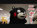 くまモンのネコのポーズ！！「ボクはクマだけど関係なかモン！！」熊本筑豊特産品フェア！！