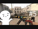 [#5] English CS:GO stream | CS:GOストリーム（英語）