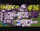ドキッ！初心者だらけのマインクラフト【2人実況】part36