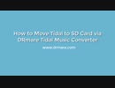 Move Tidal to SD Card for Using Offline?How?