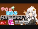 今さら始まる？マインクラフト！#11