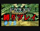 【ドラクエ5 縛りプレイ】誰かが裏で手伝ったそうです。Part75【アルカリ性】