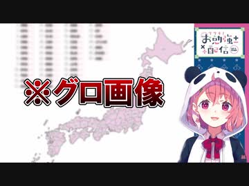 笹木咲のヤバすぎる日本地理【義務教育の敗北】