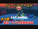 【マリオ3Dワールド+フューリーワールド】キノピオの場所は！？　漂流！キノピオ探検隊攻略　ネコ湖のネコシャインの場所