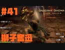 仕事辞めたので黒呪島生活2週目。#41【ドラゴンズドグマダークアリズン】【DDDA】