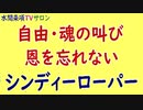 水間条項TV厳選動画第75回