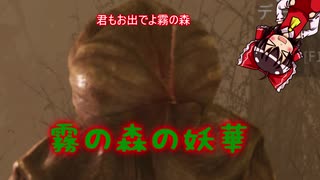【ＤＢＤゆっくり実況】ドケドケ！スーパー初心者様のお通りだい！その30