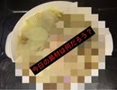 うどん生活22日目(エビ、イカ、アサリ、白菜)を使って料理してみた！【グツグツ音もどうぞ！】