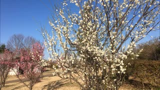 ２月半ばの三木総合防災公園