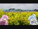 【VOICEROID車載】琴葉姉妹とどっか行く#1 ぐだぐだGoTo菜の花畑