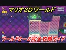 【マリオ３Ｄワールド】２－２攻略ガイド　グリーンスターとハンコの場所全部紹介！