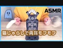 【ASMR】ねこじゃらしでモフりながら「ちゅ〜る」を食べた話する