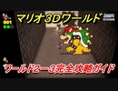 【マリオ３Ｄワールド】２－３攻略ガイド　グリーンスターとハンコの場所全部紹介！