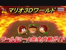 【マリオ３Ｄワールド】２－Ａ攻略ガイド　とおせんぼ！でかクリボン