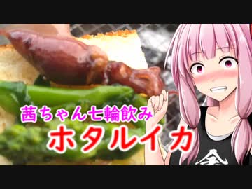 【茜ちゃん七輪飲み】ホタルイカで色々する茜ちゃん