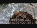 [シュレディンガーの猫]タランチュラ飼育日記その１０２[俺の小宇宙]