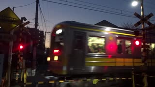 伊豆箱根鉄道大雄山線池上踏切