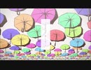 【歌ってみた（:]ミ】レディーレ【師走くらげ】