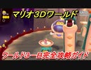 【マリオ３Ｄワールド】攻略　ワールド３－Ｂ　対決！！ヘビースネーク