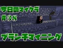 【今日のマインクラフト】～ブランチマイニング～【#38】