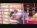 【自作俳句】第２０句　ハムスター【映像化してみた】