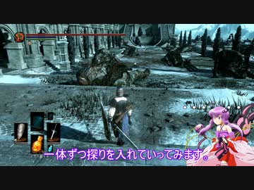 素直で温厚なゆかりさんのダークソウル３　PRT３６