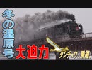 白銀の釧路湿原を疾走！SL冬の湿原号！！【釧路SL乗車② 2021/02】