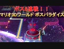 スーパーマリオ 3Dワールド ルイージで攻略 ファイナル！チャンピオンシップロード　ラストステージ攻略