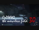 CoDWWⅡ the merciless field: 30