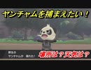 ポケモン剣盾　ヤンチャムを捕まえる方法！オススメの場所は？天気は？ポケモン図鑑コンプへの道！　【ポケモンソード・シールド】
