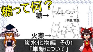 単糖について(炭水化物編その1)【食品化学ゆっくり解説Part2】