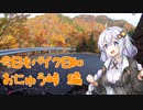 【紲星あかり車載】今日もバイク日和　おにゅう峠　編