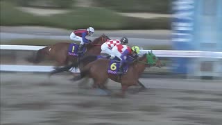 第13回ユングフラウ賞 ウワサノシブコ