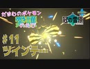 【実況】だまむのポケモン愛護のたび「冠の雪原」 ＃１１