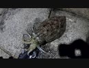 迫真釣り部　ボウズの裏技.mp4